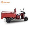 Triciclo eléctrico Mini Cargo Passsenger-TL130