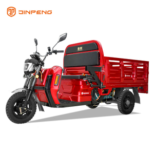 Triciclo eléctrico de carga grande EEC 2000W-DLS150PRO