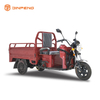 Triciclo eléctrico Mini Cargo Passsenger-TL130